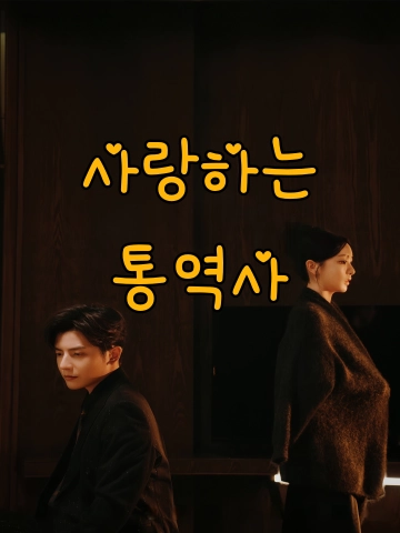 사랑하는 통역사