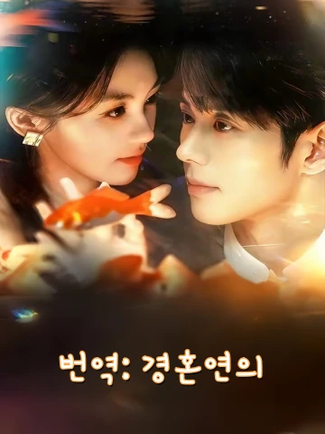 경혼연역 (京婚演绎)